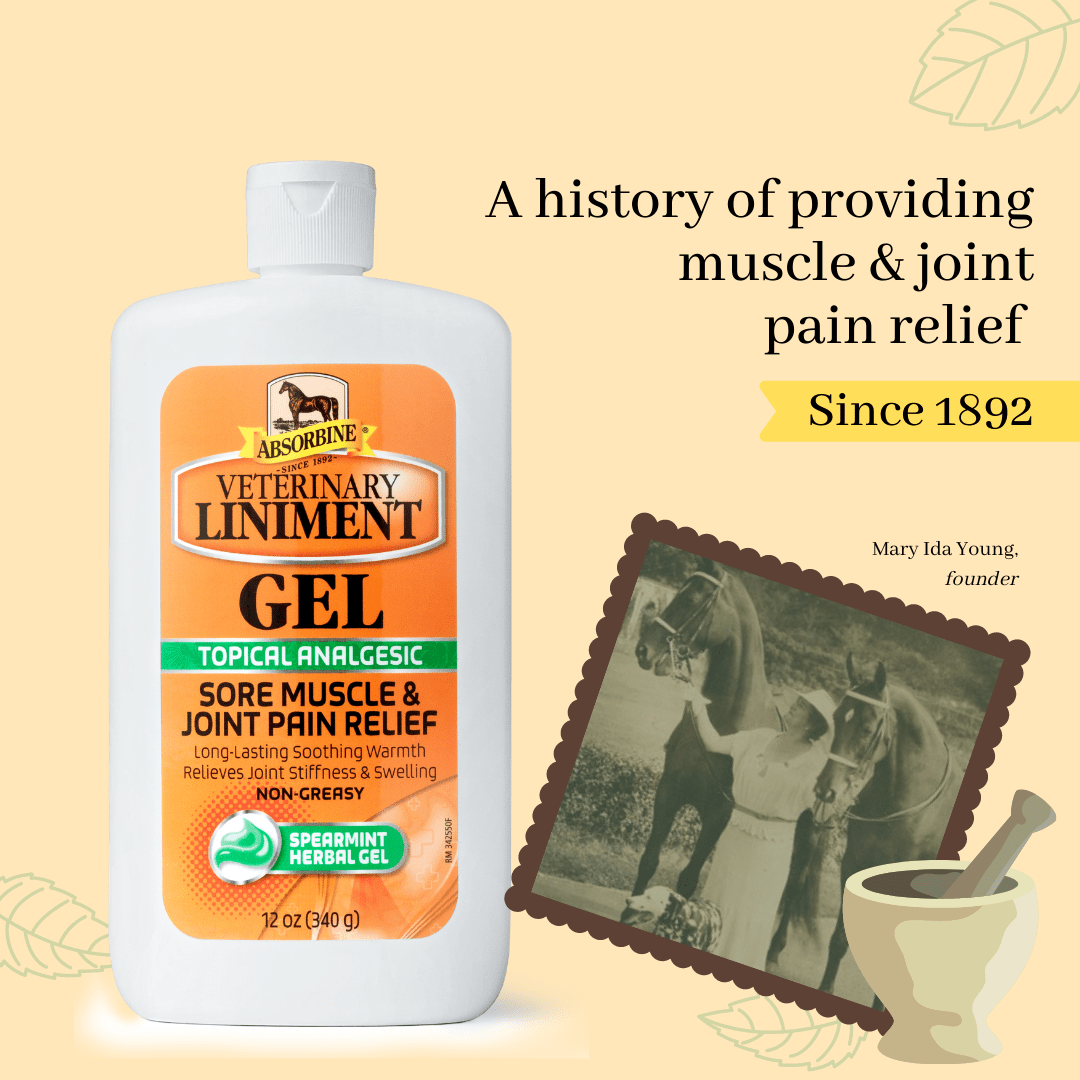 Absorbine Veterinary Liniment Gel | Official Website